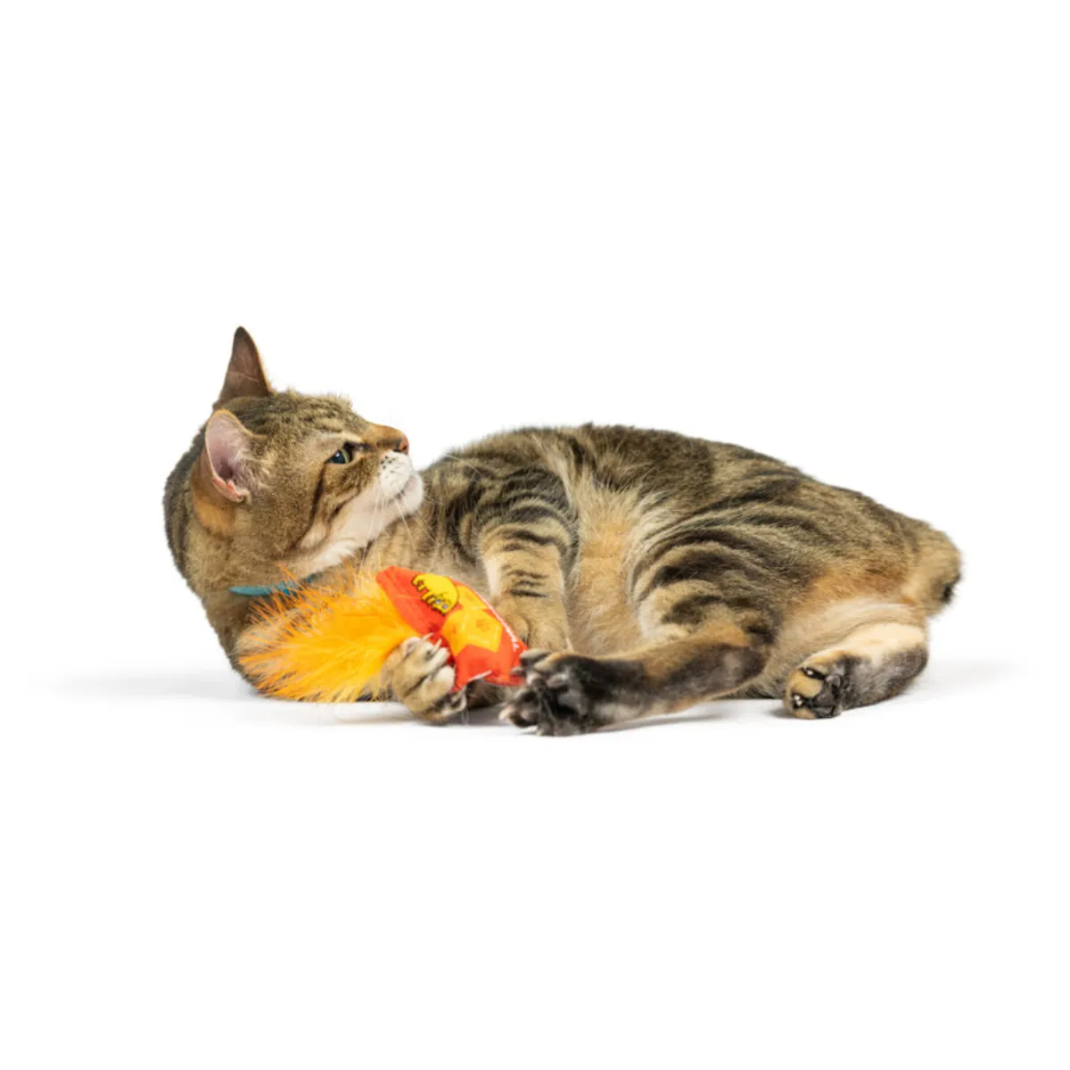 H&K Santa Hat & Sweet Thing Candy 2pk Cat Toy