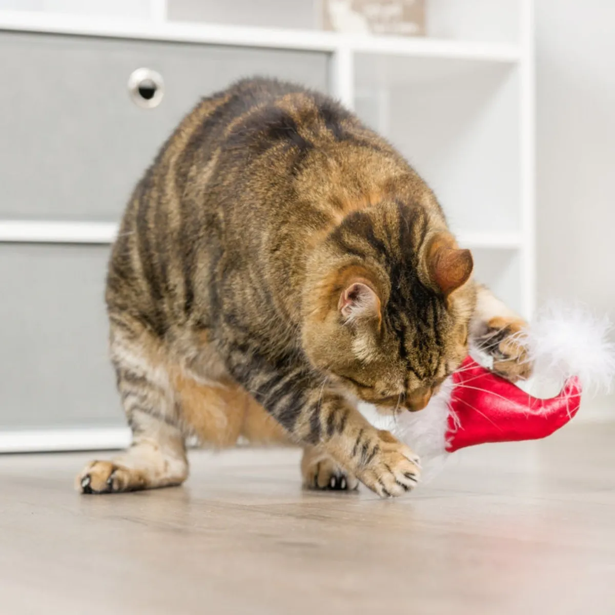 H&K Santa Hat & Sweet Thing Candy 2pk Cat Toy
