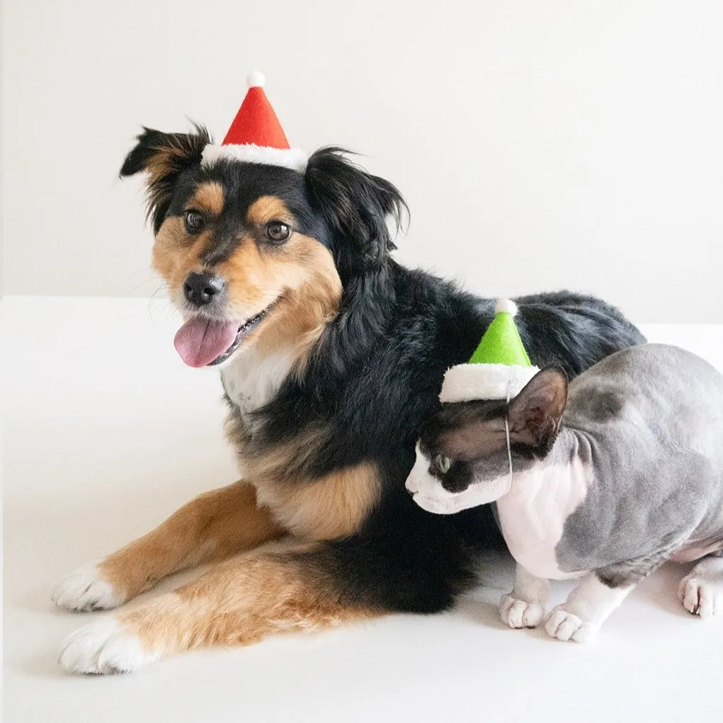 Holiday Dog Hat Santa