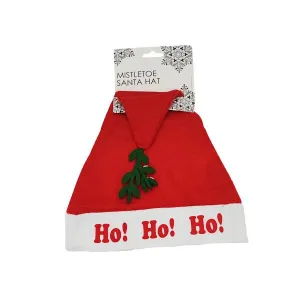Mistletoe Santa Hat