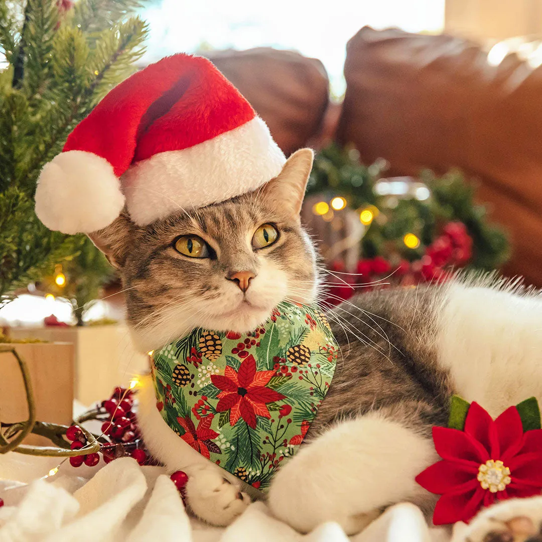 Pet Santa Hat - Christmas Photo Prop | X-Small Mini Size for Cats, Kittens   Small Dogs